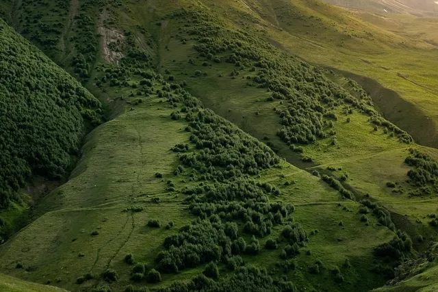 earth
